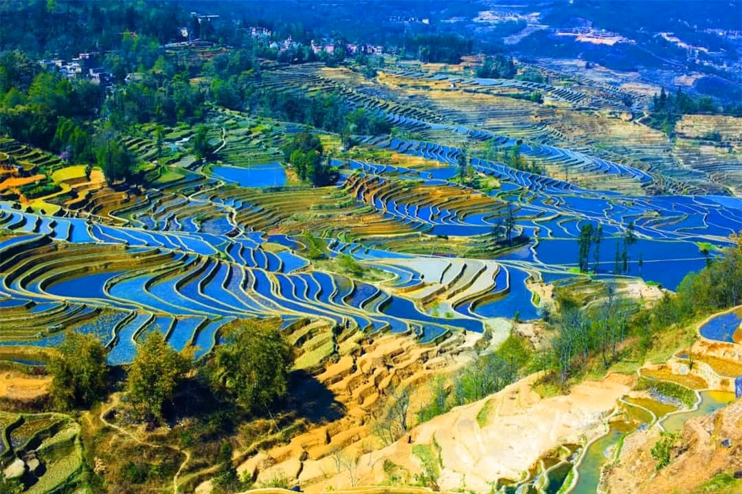  Ruộng bậc thang: Những cánh đồng lúa siêu thực như tranh vẽ. Chúng là một trong những điểm tham quan đáng kinh ngạc nhất ở Trung Quốc và là biểu tượng văn hóa của đất nước.