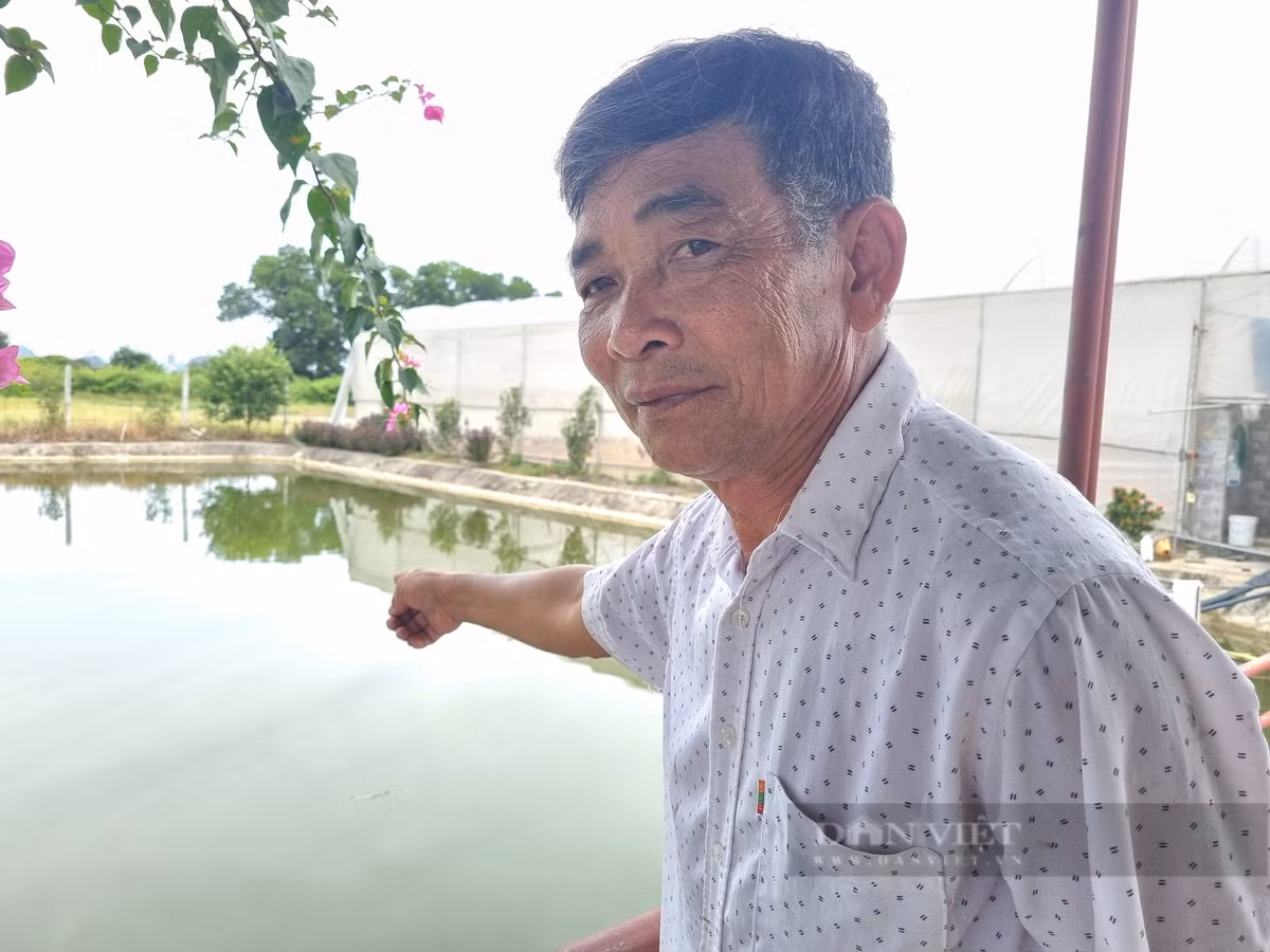 Biến ruộng hoang thành nông trại sạch, lão nông đút túi 1,5 tỷ/năm - Hình 5 Bien ruong hoang thanh nong trai sach, lao nong dut tui 1,5 ty/nam-Hinh-5