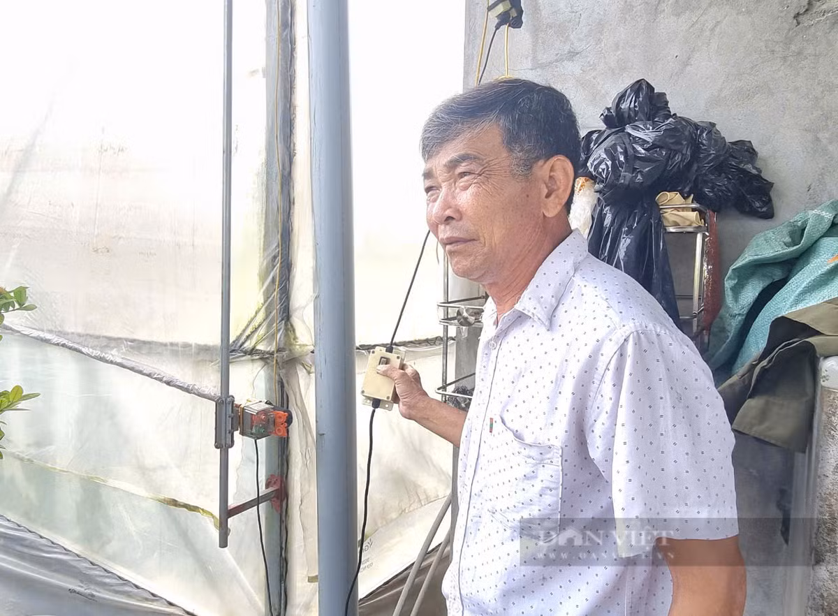 Biến ruộng hoang thành nông trại sạch, lão nông đút túi 1,5 tỷ/năm - Hình 7 Bien ruong hoang thanh nong trai sach, lao nong dut tui 1,5 ty/nam-Hinh-7
