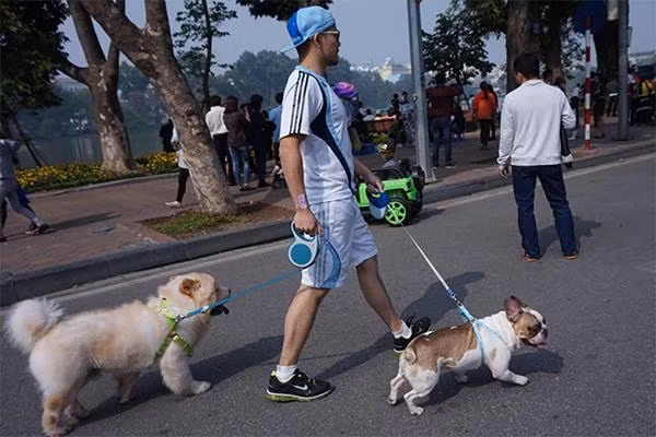 Ha Noi cam mang cho meo, loa cong suat lon vao pho di bo ho Guom