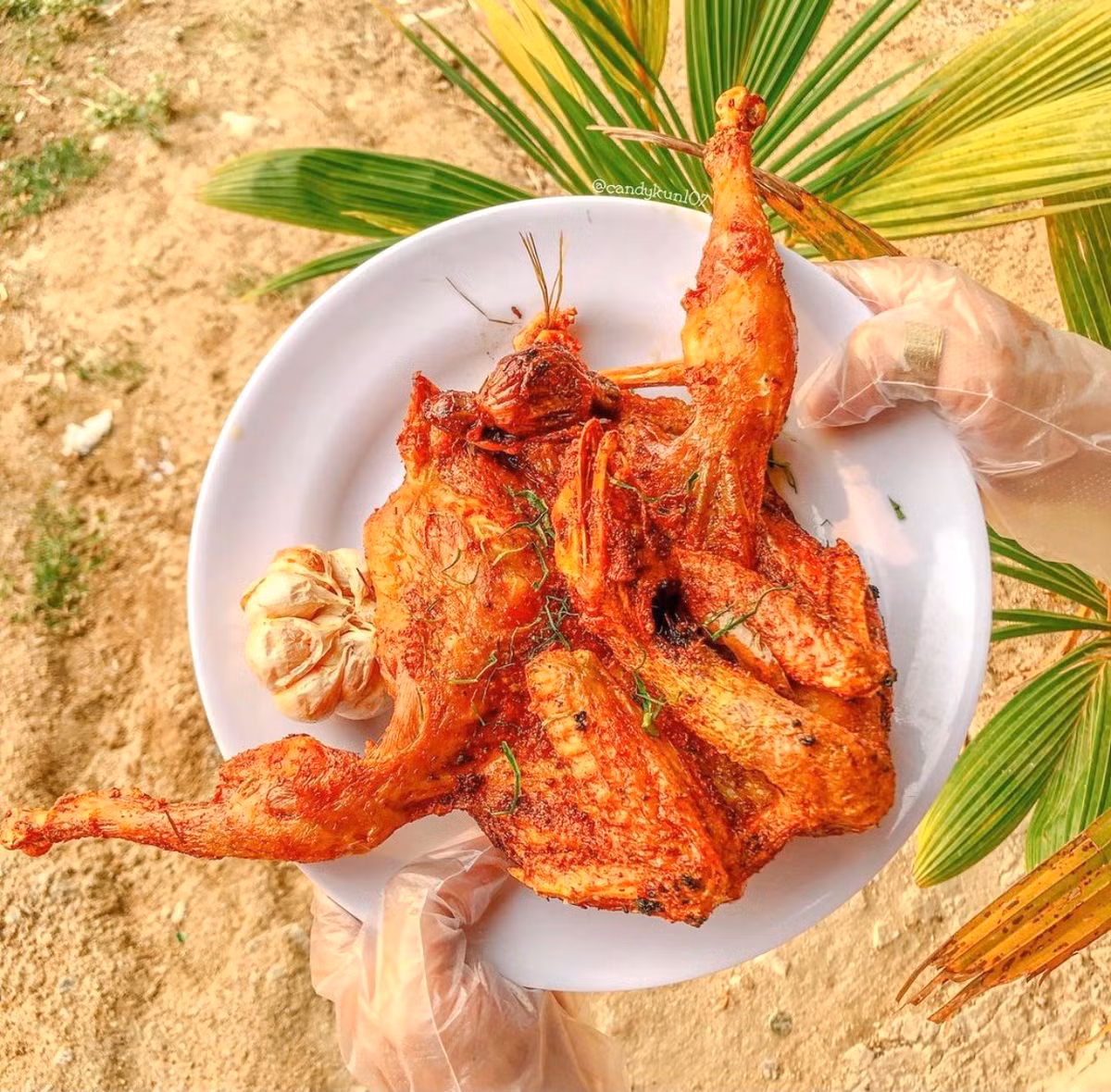 Gà được chọn phải là những con thả vườn. Sau khi sơ chế, người chế biến tẩm ướp thịt với sả, ớt, tỏi, đường, muối, lá chúc. Lá chúc có vị the như lá chanh nhưng thơm nồng hơn, không bị đắng. Con gà được dọn ra có màu vàng đẹp mắt, ăn kèm rau sống, dưa leo, nước chấm. Ảnh: Candykun107.