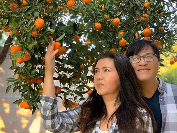 Tuy nhiên, mãi sau này, khi đã trải qua một lần đổ vỡ hôn nhân, cả hai mới gặp lại nhau và nhận ra họ mới thật sự là một nửa của đối phương. Năm 1993, Phương Thảo - Ngọc Lễ chính thức đến với nhau.