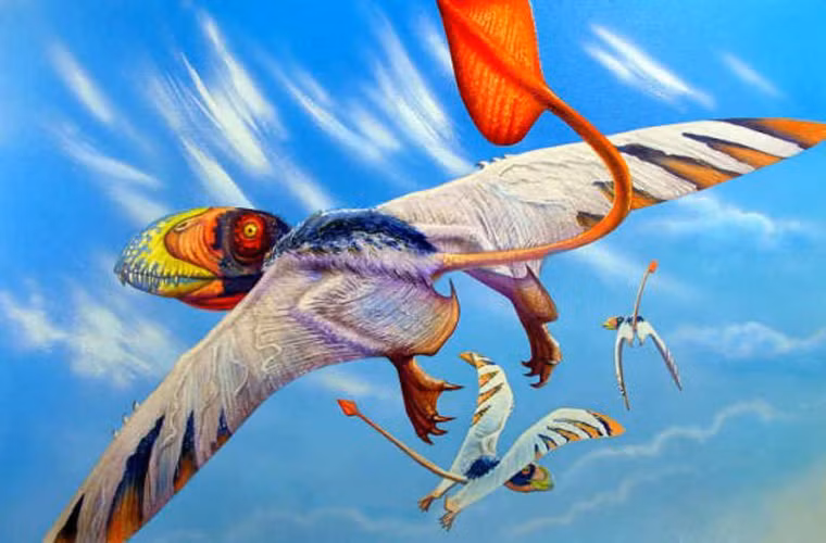 Dimorphodon là loại thằn lằn bay có kích cỡ trung bình. Nó sống ở thời kỳ đầu của kỷ Juric. Loài thằn lằn này có 2 loại răng trong hàm, điều vô cùng hiếm với các loại bò sát. Dimophodon cao 1m, với cổ nhỏ nhưng đầu to và có chiều dài sải cánh khoảng 1,4m. Chiếc đuôi của nó có tới 33 đốt xương.