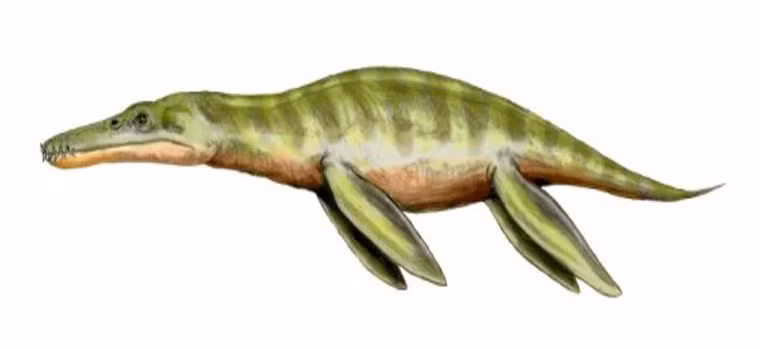 Liopleurodon là loài bò sát ăn thịt sống ở cuối kỷ Juric. Chúng có hình dáng như của một con cá sấu, với chân bị biến thành vây.
