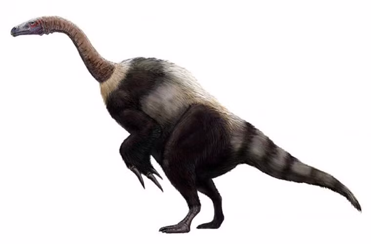 Suzhousaurus là loài khủng long sống ở kỷ Phấn trắng thời kỳ đầu. Trông nó khá giống với một con chuột lớn.
