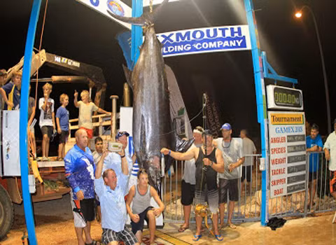 Con cá kiếm nặng 353 kg được bắt tại thị trấn Exmouth, Australia.