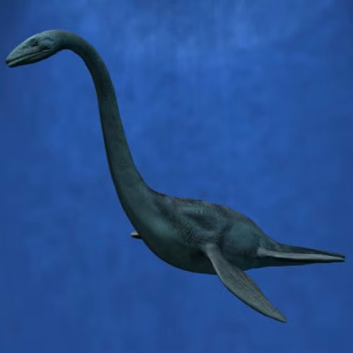 Elasmosaur. Loài này sống ở kỷ phấn trắng muộn. Nó dài 14m và nặng hơn 2,2 tấn. Một nửa chiều dài cơ thể nó là cổ, với 70 chiếc đốt sống, nhiều hơn bất cứ một con vật nào hiện tồn tại trên Trái đất. Chiếc cổ dài có vai trò quan trọng trong việc sinh tồn của loài, do nó là phần cơ thể duy nhất có thể ngoi lên khỏi mặt nước. Cơ thể đồ sộ nhưng nó chỉ có 4 chân chèo khá nhỏ. Elasmosaur không có bất cứ liên hệ nào với các loài động vật đang sống hiện nay. Tuy nhiên, nhiều nhà khoa học cho rằng nó có thể có mối liên hệ với bò sát (nhiều người thì cho rằng loài này giống quái vật hồ Lochness).