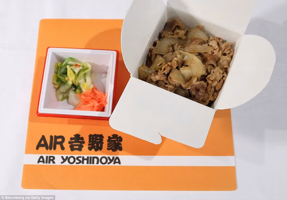 Bữa ăn đơn giản với cơm thịt bò truyền thống của hãng hàng không Japan Airlines (Nhật Bản).