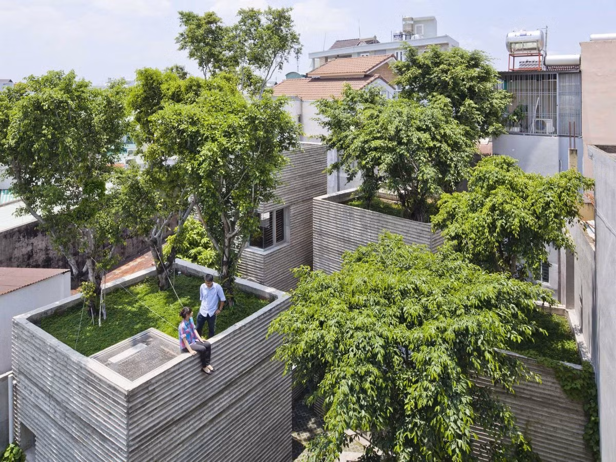 Công trình đoạt giải về hạng mục Nhà ở: House for Trees (nhà phủ cây) của kiến trúc sư Võ Trọng Nghĩa, ở TP HCM, Việt Nam.