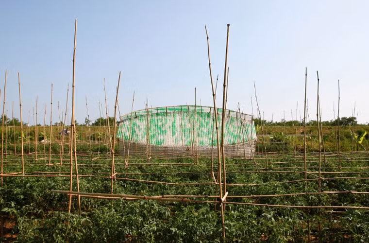 Với ý tưởng cánh buồm giăng trước gió - hình ảnh quen thuộc của ngư dân làng chài, ngôi nhà trông khá sinh động giữa cách đồng.