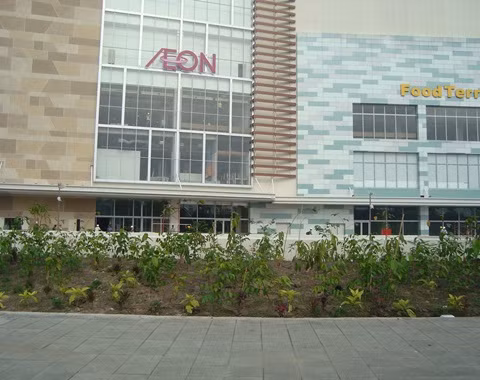 Lịch sử phát triển của Aeon gắn liền với việc sáp nhập hàng trăm công ty kinh doanh khác cùng chí hướng và quá trình chuyển đổi cổ phần, liên doanh tích cực của Tập đoàn. Aeon ngày nay hoạt động chủ yếu trong các lĩnh vực bán lẻ, dịch vụ tài chính.