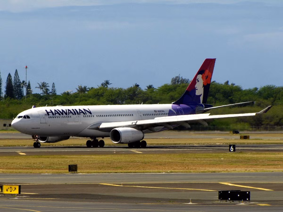 2. Hawaiian Airlines. Sau 40 năm thành lập, logo Pualani (Hoa trên trời) của Haiwaiian Airlines vẫn là một trong những logo đẹp và đặc biệt nhất ngành hàng không.