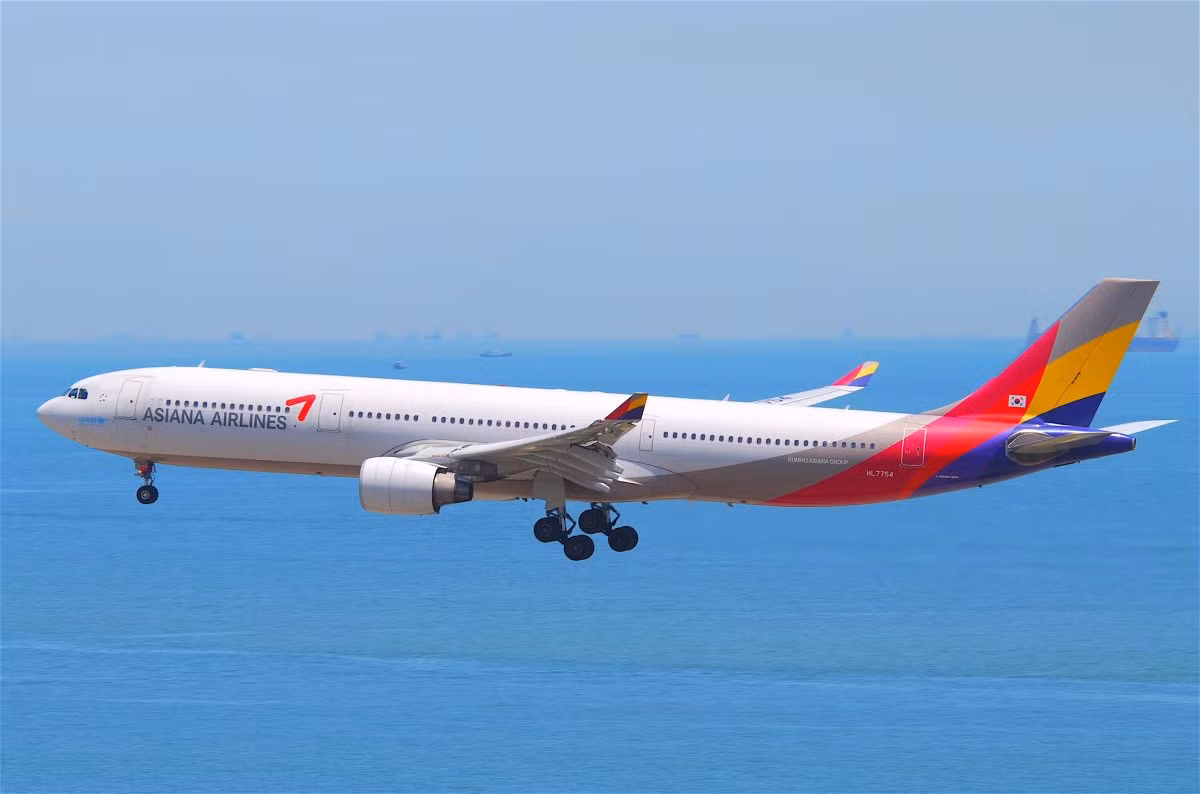 13. Asiana. Hãng hàng không Asiana của Hàn Quốc không có thiết kế bên ngoài máy bay bắt mắt như đối thủ Korean Air, nhưng lại sở hữu vẻ ngoài duyên dáng như một đóa hoa đang nở.