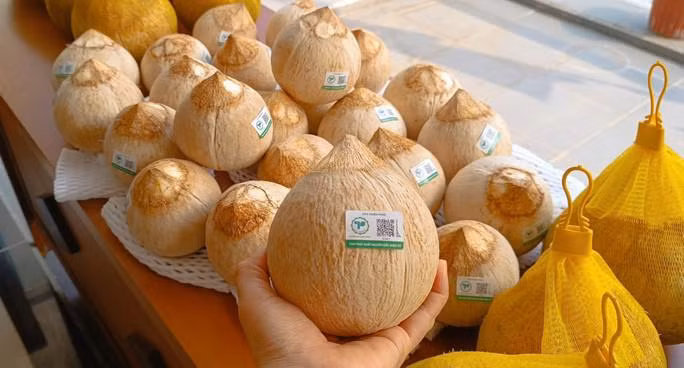 Vi sao dua tuoi re beo giua mua nang nong gay gat?-Hinh-3