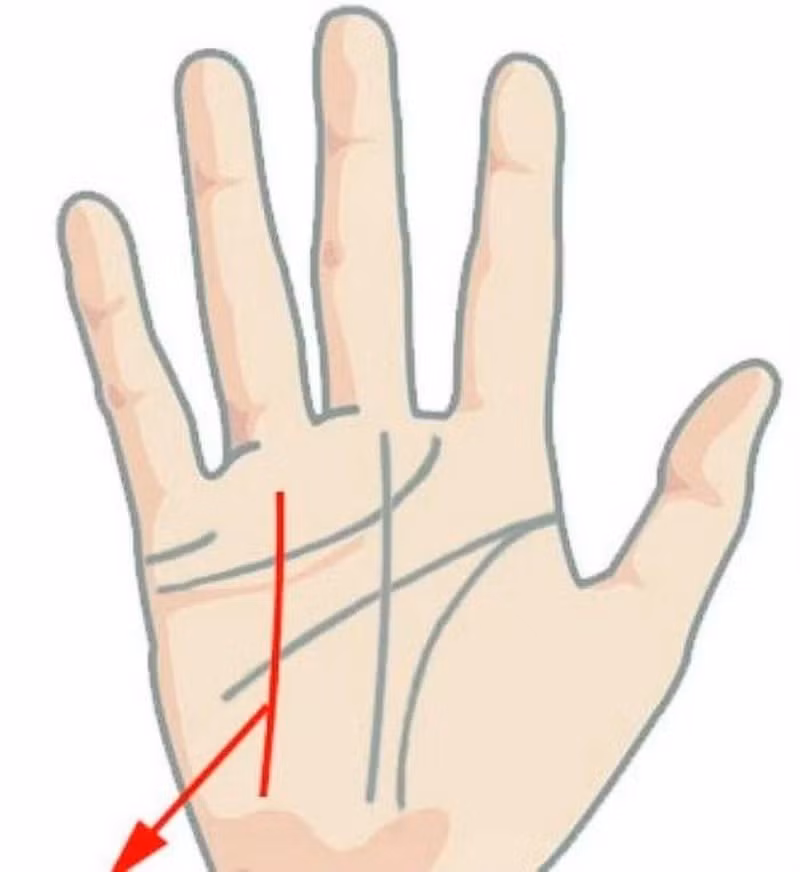 Dự đoán sự nghiệp, tiền tài qua đường công danh trong lòng bàn tay - Hình 3 Du doan su nghiep, tien tai qua duong cong danh trong long ban tay-Hinh-3