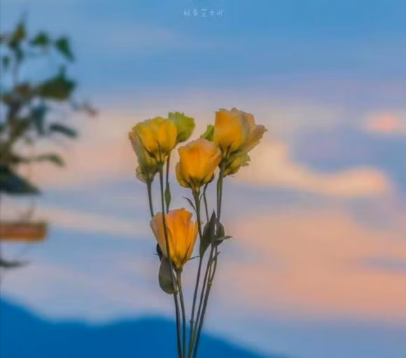 Song tot mot cuoc song binh thuong la mot su phi thuong