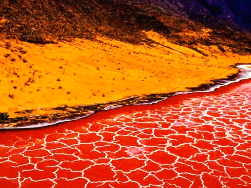 Nằm ở vùng Arusha ở Tanzania, hồ Natron có nhiệt độ nước lên đến 60 độ C và độ pH dao động trong khoảng 9-10,5 do muối quá bão hòa. Hồ này có thể vôi hóa xác chết, đốt cháy da động vật và con người…