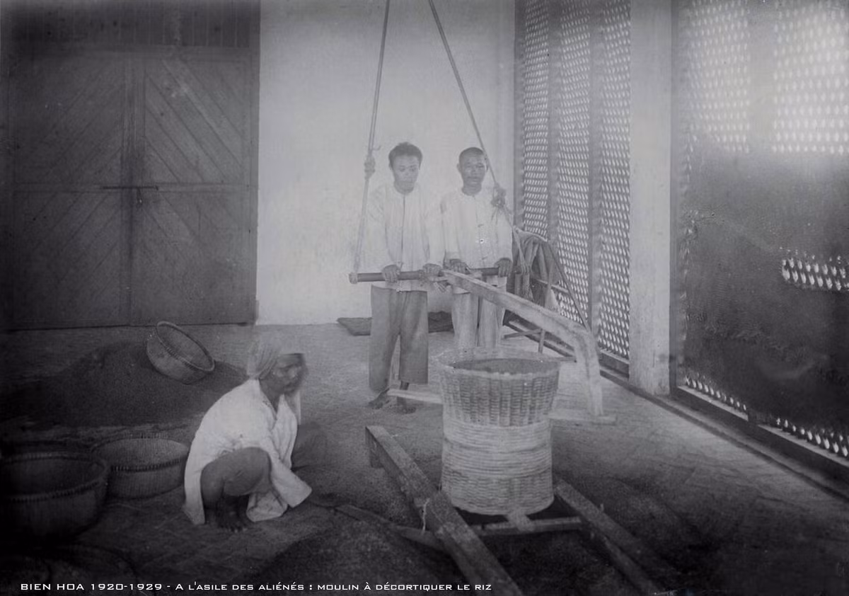 Một nhóm bệnh nhân thực hiện công việc xay lúa.