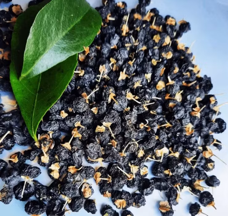 Người Việt đã quá quen với kỷ tử đỏ, nhưng kỷ tử đen lại vô cùng lạ lẫm. Kỷ tử đen còn gọi là hắc kỷ tử, đây là loại quả mọc hoang ở Tây Tạng.