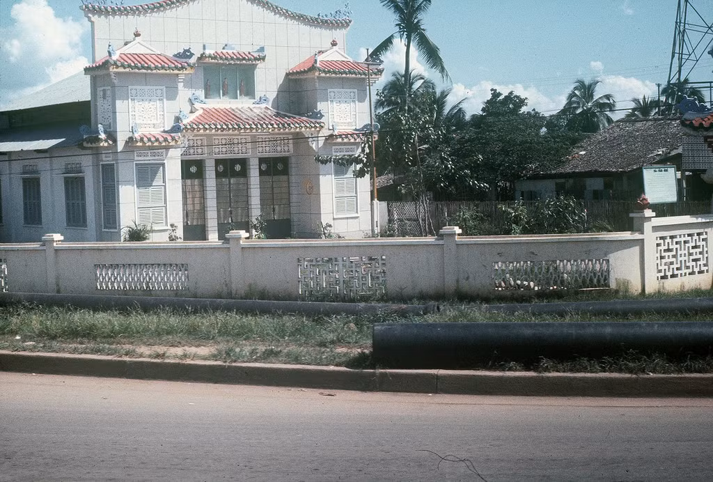 Ảnh: Gary Mathews, 1965.