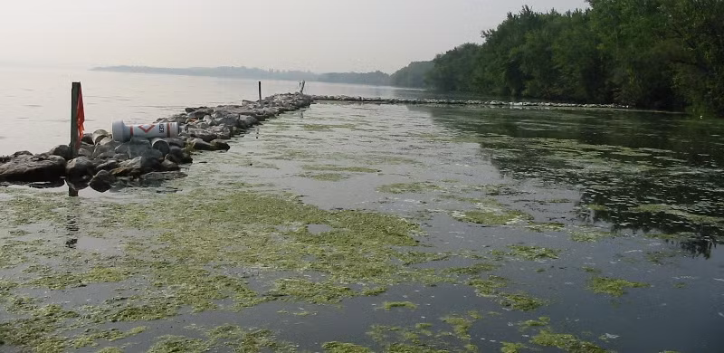 8. Hồ Onondaga, Mỹ: Vào thế kỷ XIX, hồ Onondaga là một địa điểm nghỉ dưỡng khá phổ biến. Một thế kỷ sau, do tác động của quá trình hiện đại hóa, hồ Onondaga đã nằm trên bờ vực của thảm họa sinh thái. Bị bão hòa do chất thải công nghiệp nitrat, phốt phát, thủy ngân và vi khuẩn gây bệnh... hồ bị chính phủ đưa ra sắc lệnh cấm bơi lội và câu cá từ năm 1940. Sau lệnh cấm, người ta đã lắp đặt các cơ sở xử lý nước sạch, tình hình hồ đang dần được cải thiện, nhưng để làm sạch nước phải cần một thời gian rất dài.