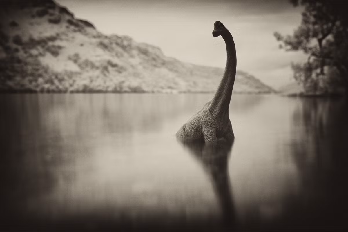 Chưa rõ quái vật này có tồn tại thật hay không, nhưng hồ Loch Ness thì vẫn nằm trên cao nguyên Scotland. Nó có diện tích rơi vào tầm 56,4 km2, sâu tối đa 230m, và ở trên độ cao 15,8m so với mực nước biển.
