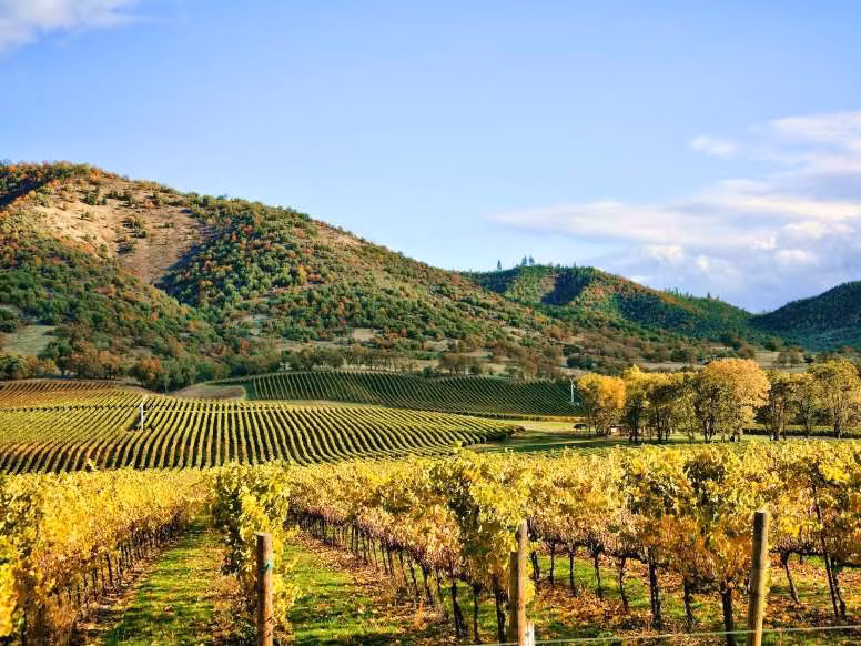 4. Thung lũng Napa, bang California: Napa là cái tên gắn liền với những nhà máy rượu vang và phong cảnh thiên nhiên tuyệt đẹp. Trong phạm vi thung lũng Napa có đến hơn 400 nhà máy rượu vang và phòng nếm thử rượu. Nhờ vào sản phẩm rượu vang với chất lượng xuất sắc và nhiều nhà hàng và spa được nhận sao Michelin, khu vực này đã trở thành một điểm đến nghỉ dưỡng nổi tiếng. 