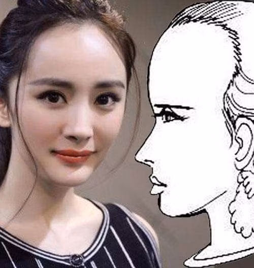 Nếu khoảng cách từ mép tóc đến lông mày lớn thì được xem là người trán cao. Đạt chuẩn theo nhân tướng học.
