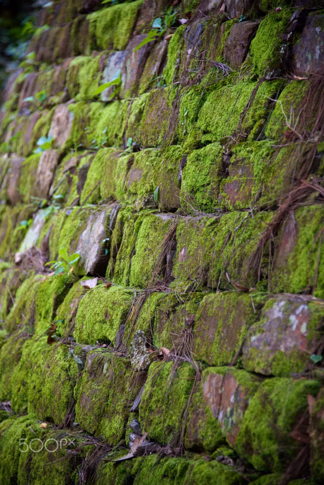 Rêu phong trên tường đá ở nơi an nghỉ của vua Tự Đức. Ảnh: Roland W. Kunz / 500px.com. Mời quý độc giả xem video: Đẹp ngỡ ngàng kiến trúc nhà vườn Huế. Nguồn: VTC10.
