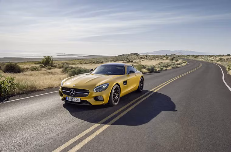 Xe được phát triển bởi hãng độ danh tiếng AMG (thuộc sở hữu của Mercedes), với hiệu năng cao hơn phiên bản tiêu chuẩn Mercedes-AMG GT, cũng do AMG phát triển.