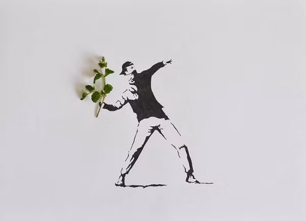 Hình ảnh chàng thanh niên bịt mặt gợi nhớ đến những tay bạo động, nhưng giá như thay vì hung khí, họ dùng cành cây như chàng trai này...