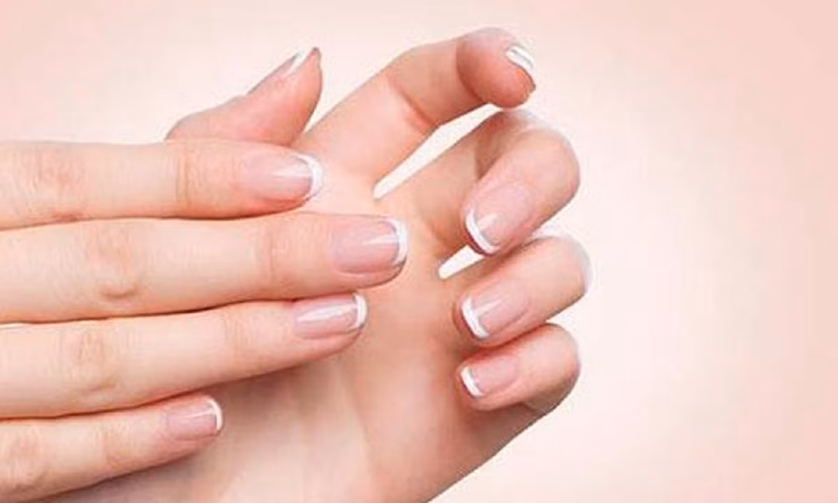Bàn tay mềm mại còn cho thấy sự biết yêu thương, chăm sóc bản thân, từ đó thu hút được người bạn đời biết trân trọng, yêu chiều.