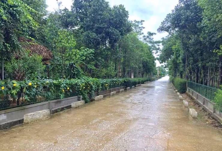 Ngoi lang Viet Nam truoc ngheo doi, nay thu nhap tang gan 8 lan-Hinh-6