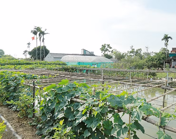 Ngoi lang Viet Nam truoc ngheo doi, nay thu nhap tang gan 8 lan-Hinh-3