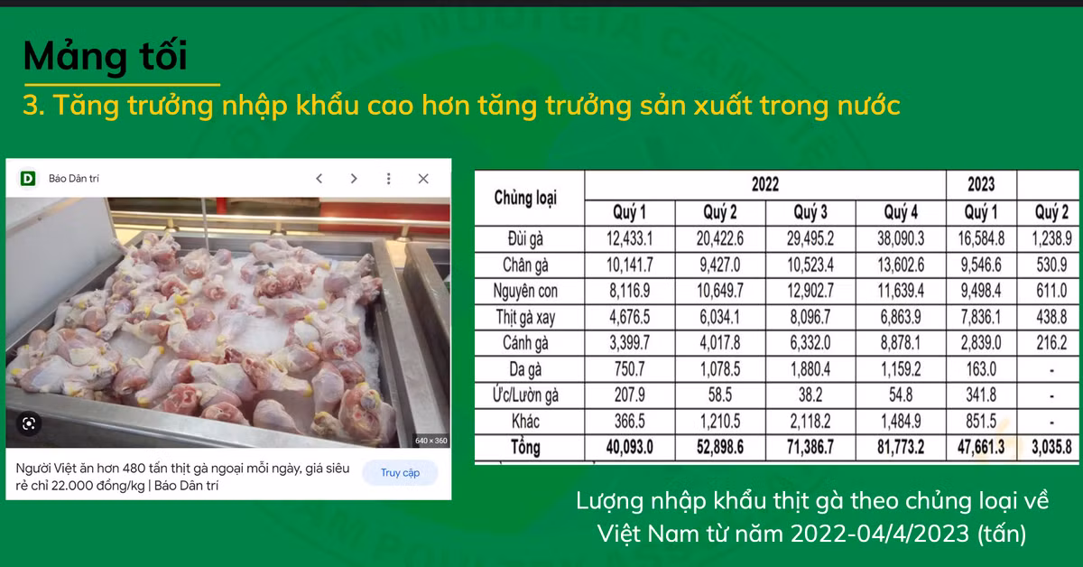 Gà thải loại từ Thái Lan, qua Campuchia vào Việt Nam giá siêu rẻ - Hình 3 Ga thai loai tu Thai Lan, qua Campuchia vao Viet Nam gia sieu re-Hinh-3
