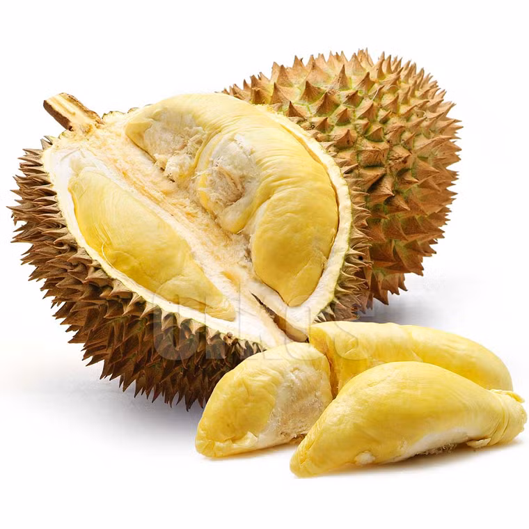 Thật vậy, sầu riêng từ lâu được biết đến với công dụng tuyệt vời trong việc chữa chứng liệt dương và yếu sinh lý.