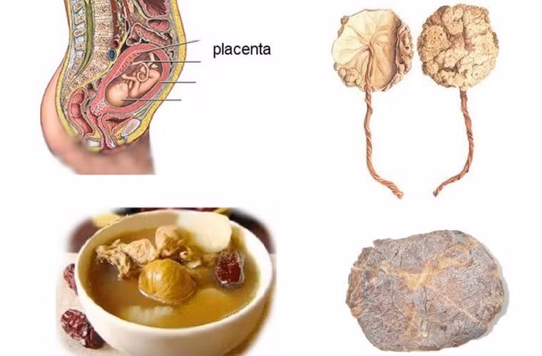 Từ lâu, nhau thai được tin là món ăn vô cùng bổ dưỡng. Nhiều sản phụ còn được khuyến khích ăn nhau thai của chính mình như một cách tự nhiên để tránh chứng trầm cảm sau khi sinh.