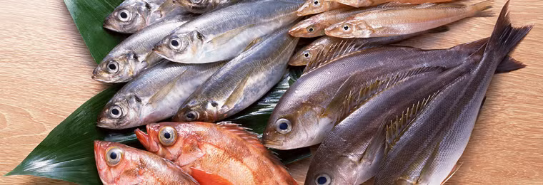 Miệng cá biển tươi ngậm kín, còn cá để lâu thì miệng hé mở.