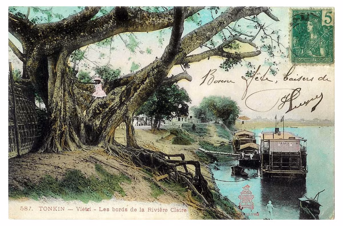 Cây cổ thụ bên bờ sông Lô.