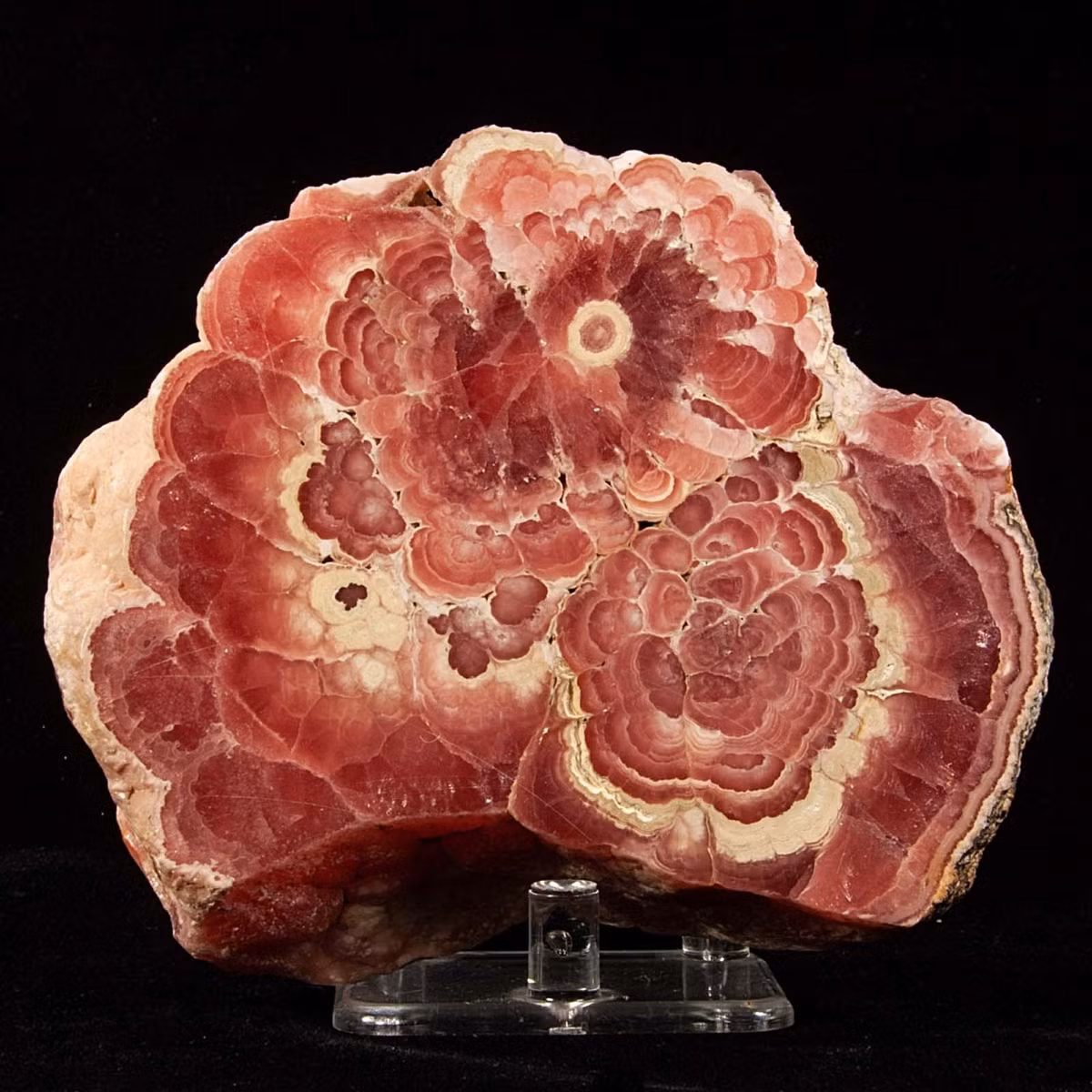 Rhodochrosite là những tinh thể carbonat mangan có chất tượng tương đương đá quý, thường được dùng để chế tác đồ trang sức. Khoáng vật màu đỏ tuyệt đẹp này phân bố ở Nam Phi, Mỹ và Peru.