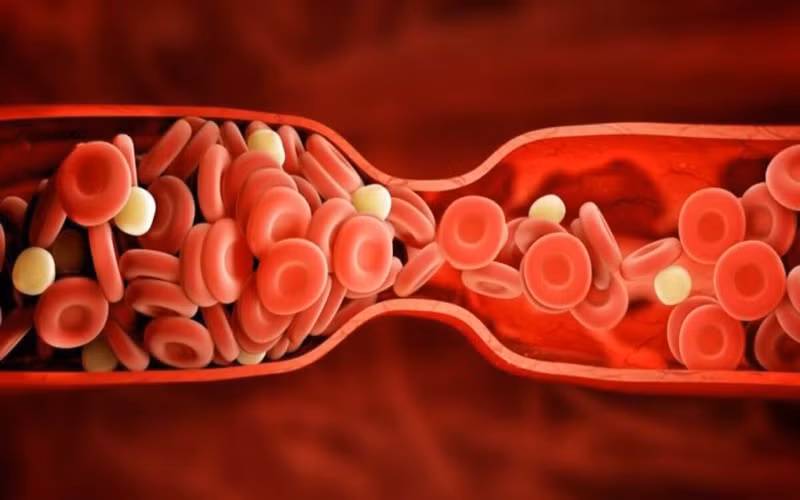 Máu: Virus corona cũng làm máu trở nên đặc hơn và tạo ra các cục máu đông trong tĩnh mạch, các cục máu đông có thể vỡ ra và di chuyển đến phổi và não gây tắc nghẽn.