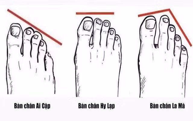 Ngón chân cái ngắn hơn ngón thứ 2 và dài bằng ngón giữa. Trong nhân tướng học thì đôi bàn chân này còn gọi là bàn chân ngọn lửa. Phần lớn những người sở hữu đôi bàn chân này có khả năng nhìn xa trông rộng nhưng lại dễ bị người khác hiểu làm.
