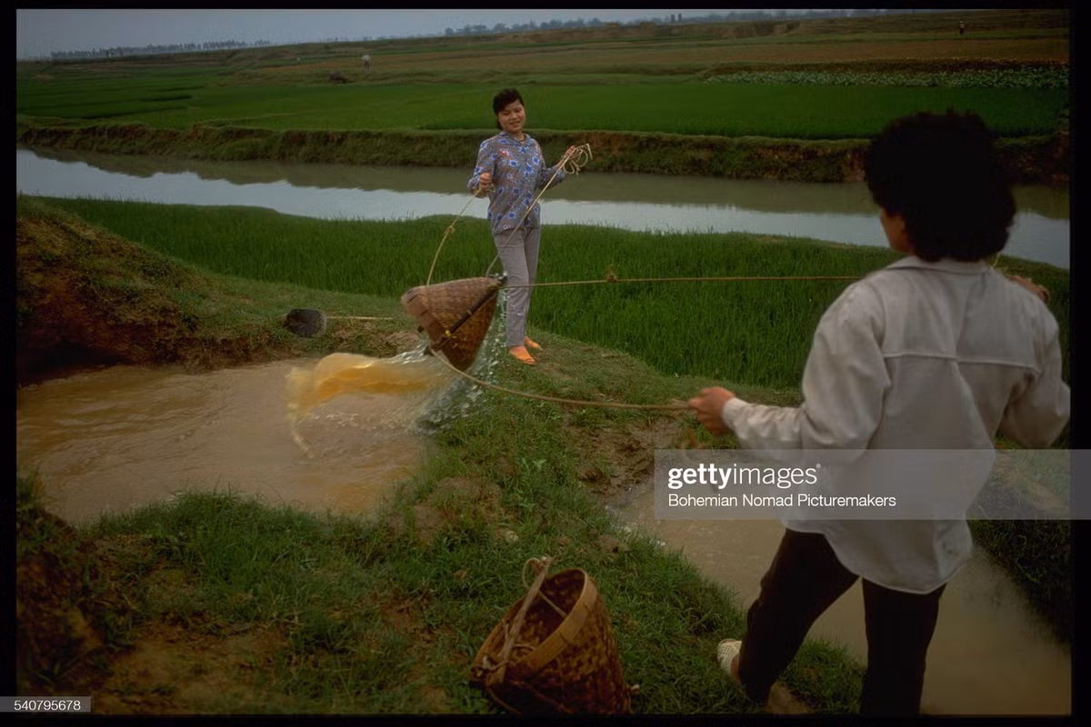 Tát nước bằng gàu dây ở Đông Anh.