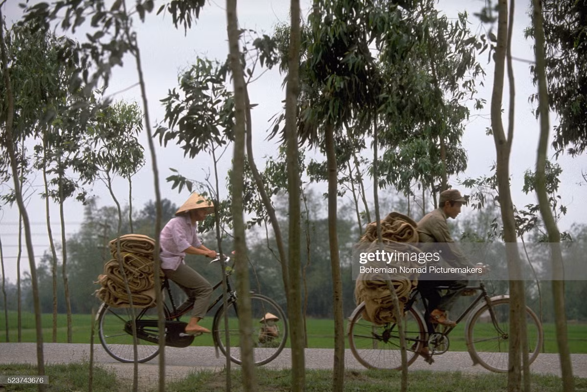 Hai nông dân chở những chiếc bao tải bằng vải đay ở ngoại thành Hà Nội.