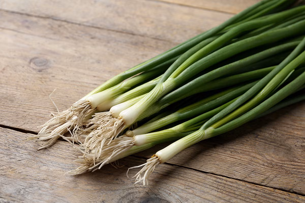 Hành ta hay hành lá (Allium fistulosum) có nguồn gốc từ Đông Á, là loài cây có mùi rất giống hành tây nhưng không phát triển củ và có lá rỗng. Dù thường được sử dụng như một loại rau gia vị, đôi khi chúng cũng được trồng thành chùm để làm cây cảnh.
