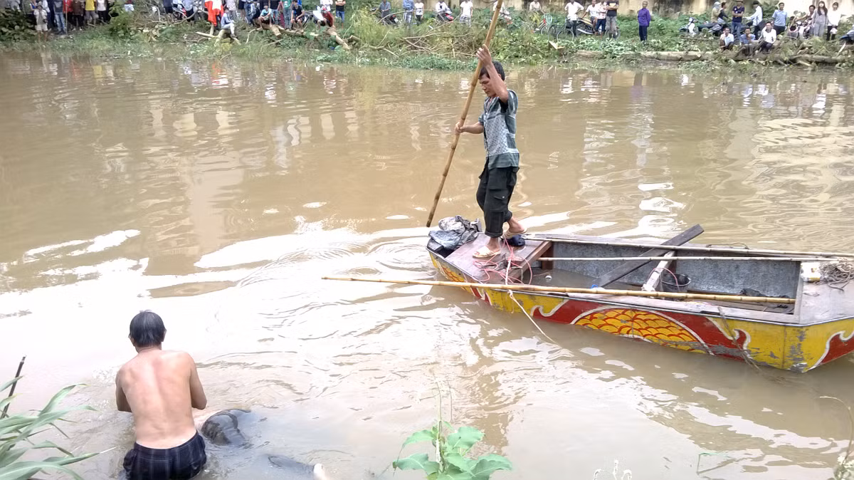 Lực lượng tìm kiếm đang đưa xác nạn nhân lên bờ.