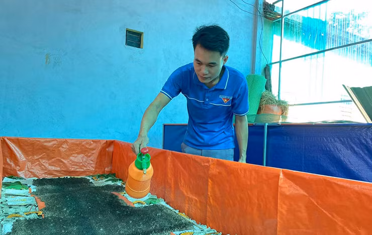 Ở Nghệ An, anh Nguyễn Văn Huấn khởi nghiệp nuôi dế Thái chỉ với số vốn 10 triệu đồng, giờ đây cho thu nhập mỗi năm trên 200 triệu đồng