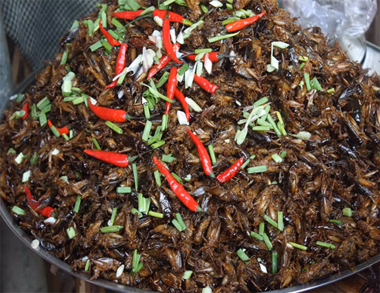 Dế được làm sạch bán lại cho nhà hàng, quán ăn với giá 150.000 đồng/kg. Ngoài ra, anh Sậm còn chế biến thêm món đế xào lá chúc giá 200.000 đồng/kg