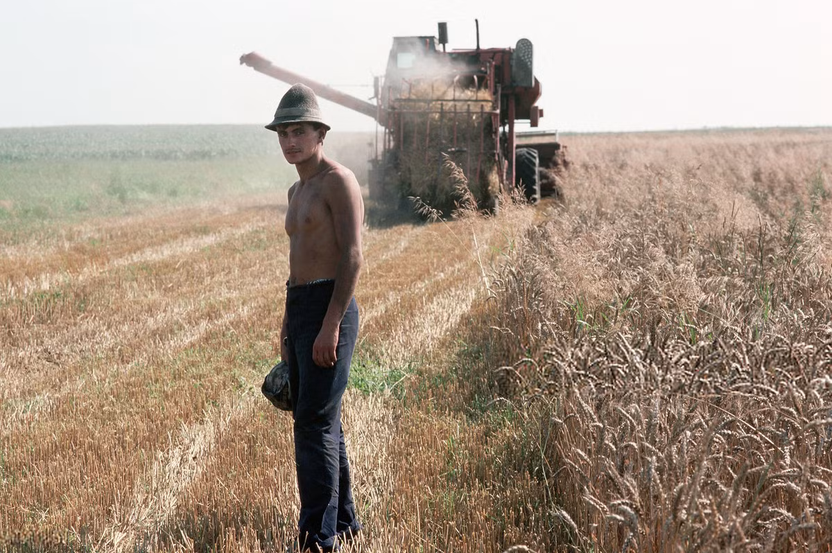Mùa gặt lúa mì ở một nông trang tập thể vùng nông thôn Ukraine năm 1991. Ảnh: Peter Turnley/Corbis/VCG via Getty Images.