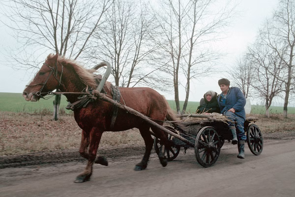 Chiếc xe ngựa kéo chở cặp vựo chồng già trên đường làng. Ảnh: Peter Turnley/Corbis/VCG via Getty Images.